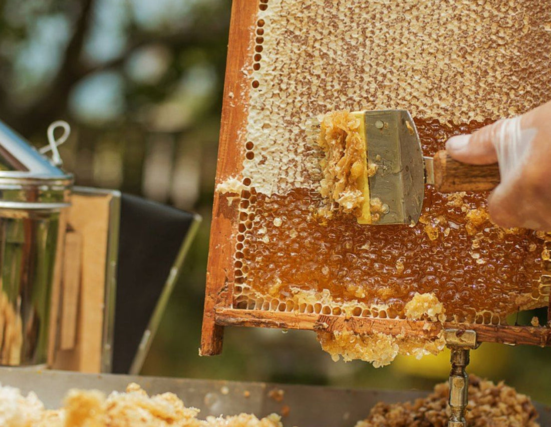 The Sweet Truth: Why Pure Organic Honey is Better for Your Health